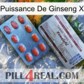 Ginseng Power X 36